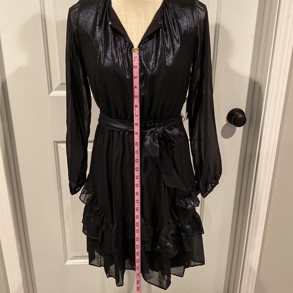Simply Vera Vera Wang Long Sheer Sleeve Dress. Size XS - Picture 3 of 15